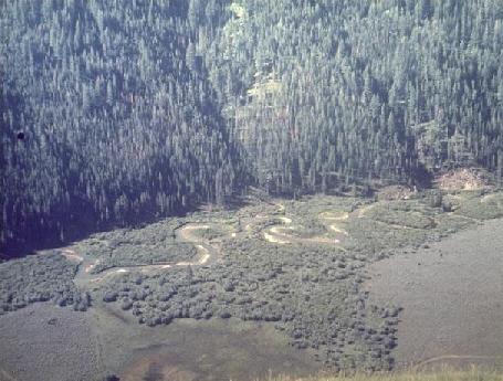 Meandering stream showing cut bank and flood plain, Grand County, Colorado.