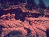 Cross-bedded sandstone with two minor faults, near Kanab, Utah.