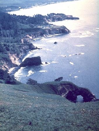 Sea arches, stacks in tertiary sediments Oregon coast.
