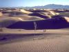Sand dunes. Yuma Sands, CA 80 miles west of Yuma, AZ