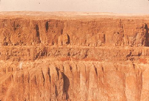 Margin of recent basalt flow