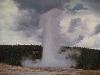 Old Faithful Geyser (Yellowstone National Park) in eruption