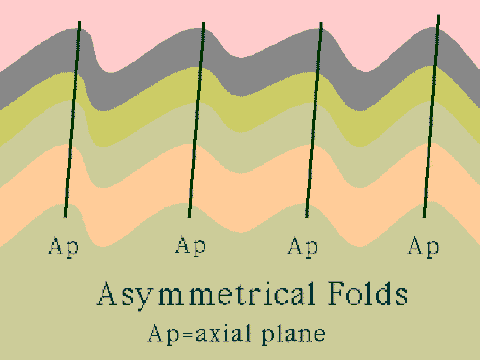 Asymmetric folds