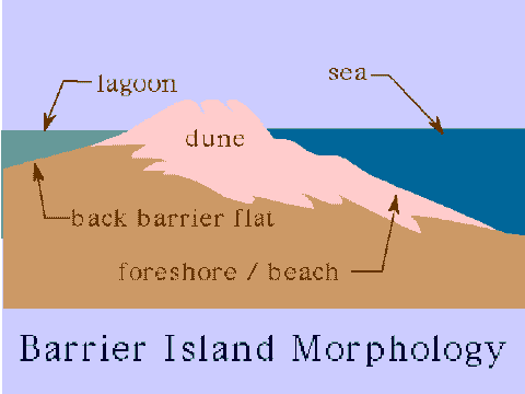Barrier island