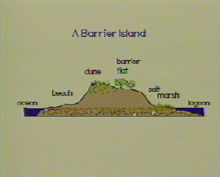 barrier beach