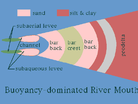 Buoyancy-Dominated River Mouth