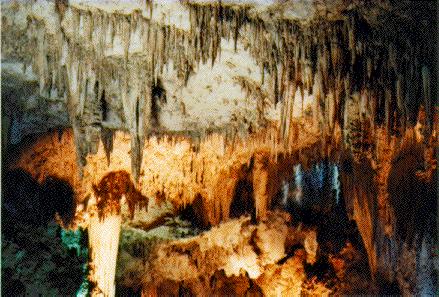 Stalactites in Carlsbad Caverns, New Mexico