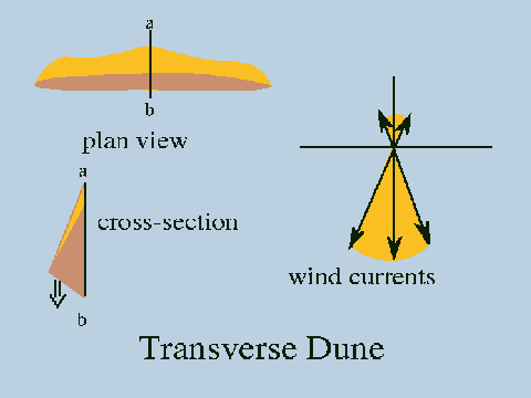 Transverse dune