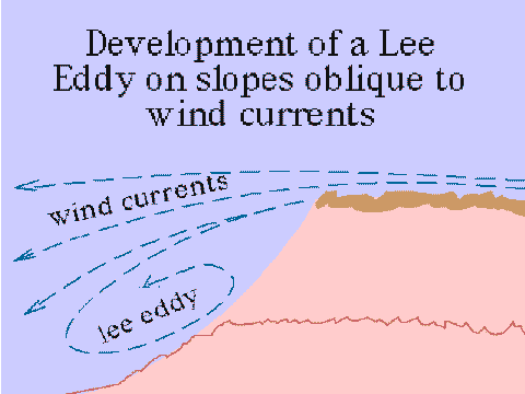 Development of a Lee Eddy
