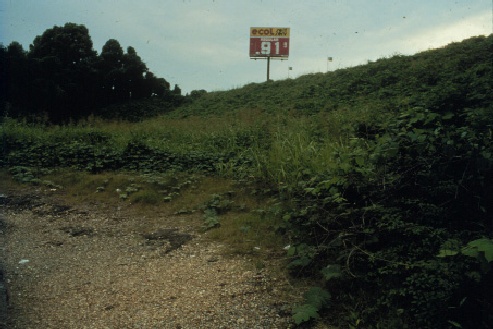 Same loess slope as picture #1 (further along cliff), but 20 years later (1987)
