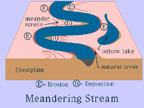 Meandering Stream