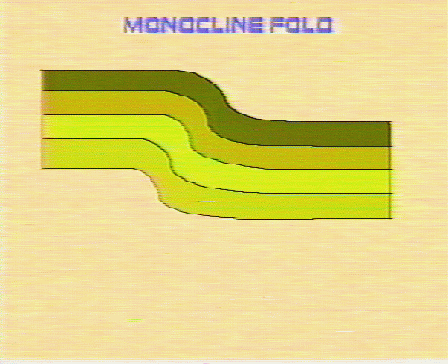 Monocline