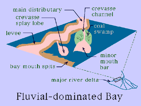 Fluvial-Dominated Bay.