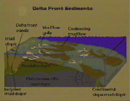 Delta Front Sediments