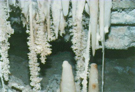 Stalactites and stalagmites in Spider Cave, Carlsbad Caverns National Park, New Mexico