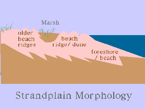 Strandplain Morphology
