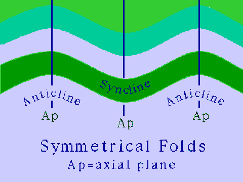 Symmetric Folds