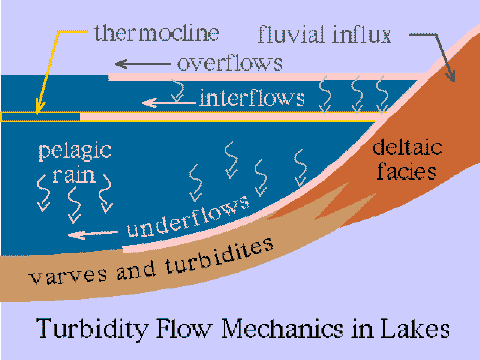Turbidity Flow Dynamics