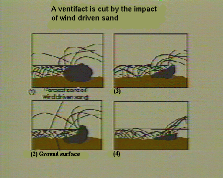 Ventifact is cut by wind driven sand